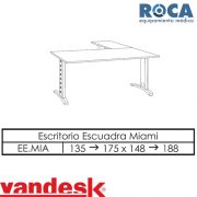 MIAMI ESCUADRA